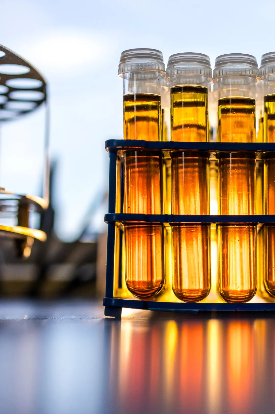 Test tubes containing oil samples analyzed in an industrial lubrication laboratory